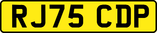 RJ75CDP