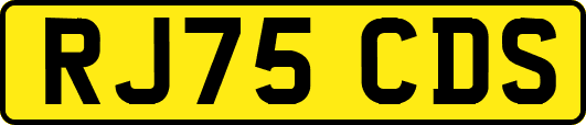 RJ75CDS