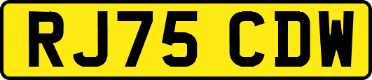 RJ75CDW