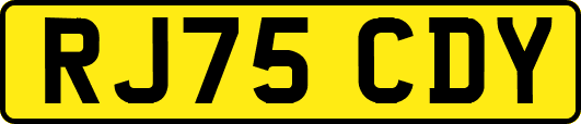 RJ75CDY