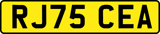 RJ75CEA