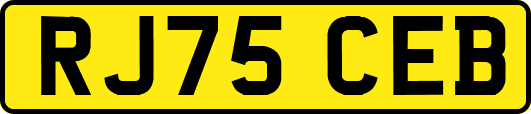 RJ75CEB
