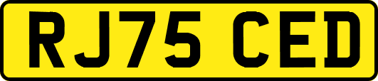 RJ75CED