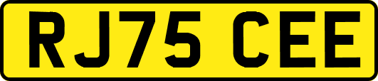 RJ75CEE