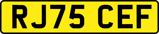 RJ75CEF