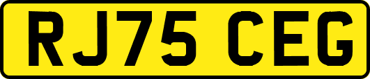 RJ75CEG