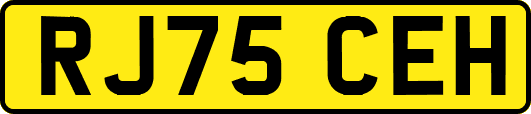 RJ75CEH