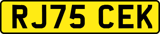 RJ75CEK