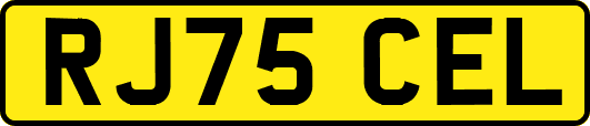 RJ75CEL