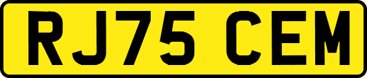 RJ75CEM