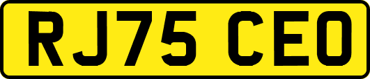 RJ75CEO
