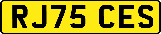 RJ75CES