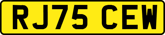 RJ75CEW