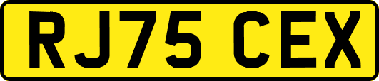 RJ75CEX