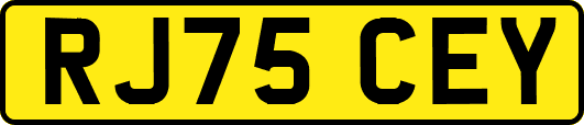 RJ75CEY