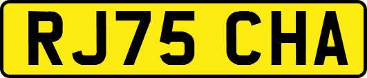 RJ75CHA