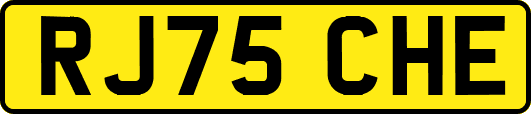 RJ75CHE