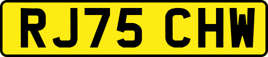 RJ75CHW