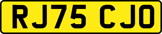 RJ75CJO