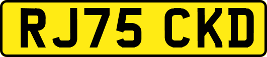 RJ75CKD