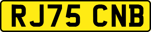 RJ75CNB