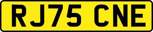 RJ75CNE