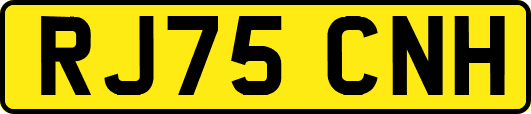 RJ75CNH
