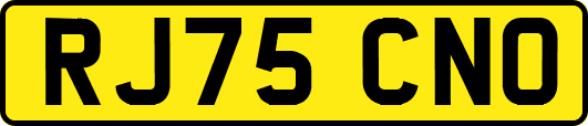 RJ75CNO