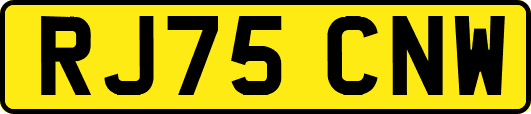 RJ75CNW