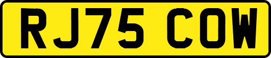 RJ75COW