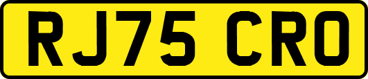 RJ75CRO