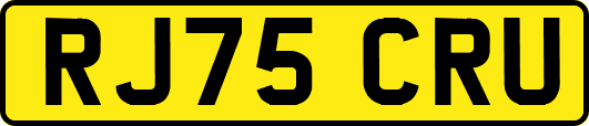 RJ75CRU