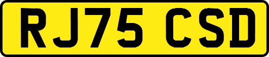 RJ75CSD