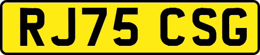 RJ75CSG