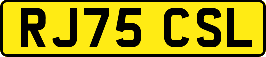 RJ75CSL