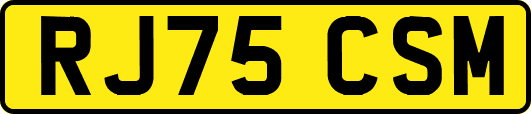 RJ75CSM