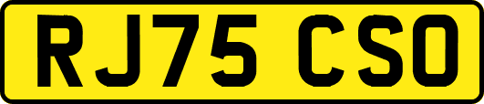 RJ75CSO