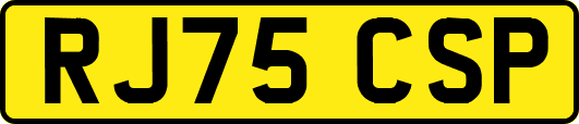 RJ75CSP