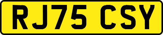 RJ75CSY
