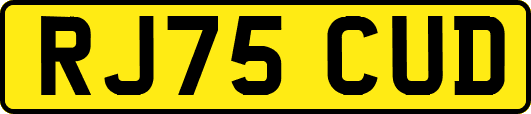 RJ75CUD