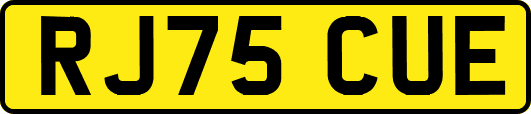 RJ75CUE
