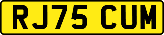RJ75CUM