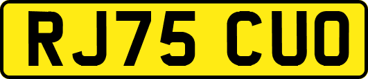 RJ75CUO
