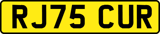 RJ75CUR