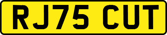RJ75CUT
