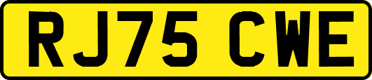 RJ75CWE
