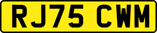 RJ75CWM