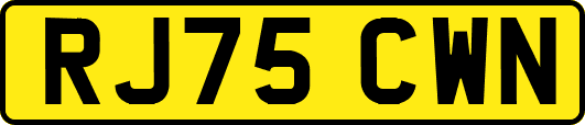 RJ75CWN