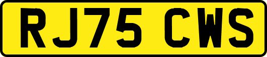 RJ75CWS