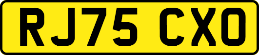RJ75CXO
